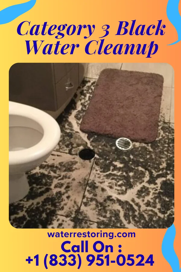 Category 3 Black Water Cleanup in Tekamah, NE
