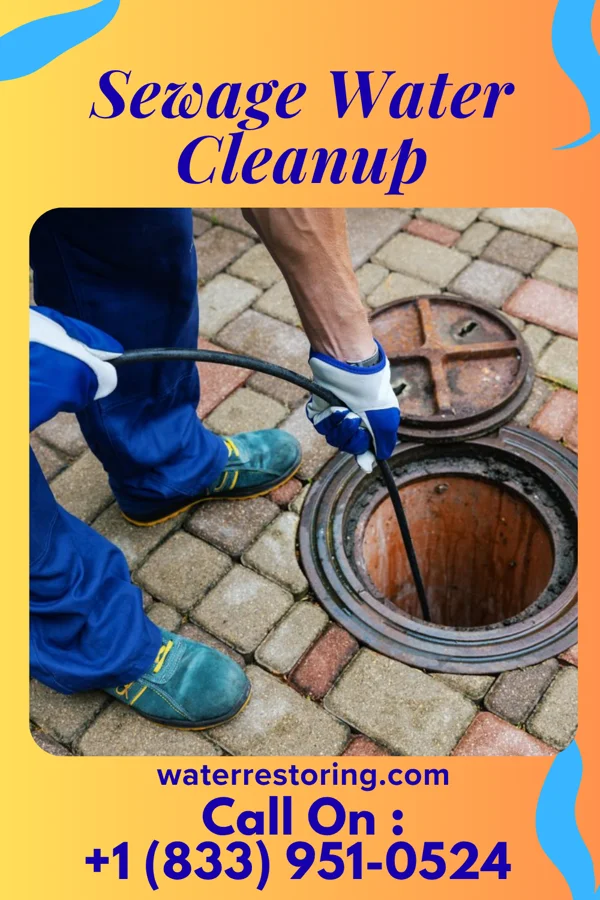 Sewage Water Cleanup in Tekamah, NE
