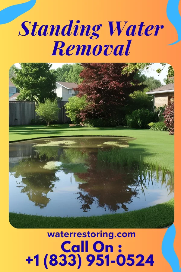 Standing Water Removal in Tekamah, NE